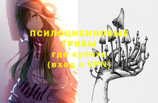 соль курить ск Кукмор