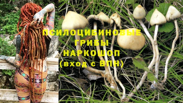 МДПВ Куйбышев