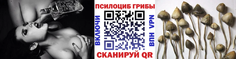 Галлюциногенные грибы мухоморы  Называевск 