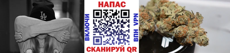 Каннабис ГИДРОПОН  закладка  Называевск 